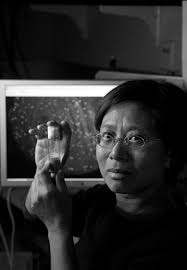 gessler rule stifles B corp signups