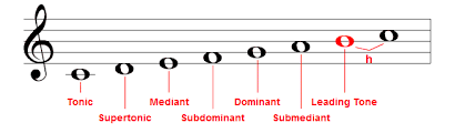 Voice leading is the linear progression of individual melodic lines and their interaction with. Scale Degrees Music Theory Lesson