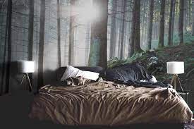 Plain walls make the space impersonal and boring, so decorating them somehow an oversized wall mural reminds of the tropical places even in the center of the city. 15 Incredible Nature Removable Wallpaper Mural Ideas Eazywallz