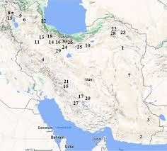 Image result for Crotalaria onobrychis