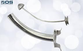 Image result for Trachypogon chevalieri