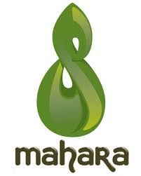How To Install Mahara On Ubuntu 16 04 Installation Social Media Resources Linux