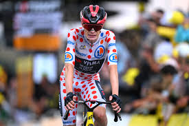 Jonas Vingegaard crashes out of Tour de France