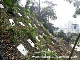 The costs of health insurance, medical checkup and student card are included in the tuition fee. Kl Forest Eco Park Bukit Nanas Forest Reserve
