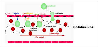 We did not find results for: Physiopathologie De La Sclerose En Plaques Sciencedirect
