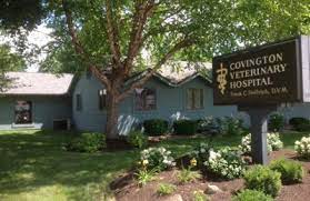 5026 decatur rd, fort wayne, in 46806. Covington Veterinary Hospital Pc 6104 Covington Rd Fort Wayne In 46804 Yp Com