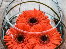 We did not find results for: Jp Parker Keep Indy Indie Indianapolis In