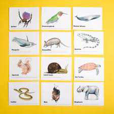 The oxford english dictionary, published in the late 19th century, set the framework for dictionaries around the world. Animal Trivia Questions For Kids
