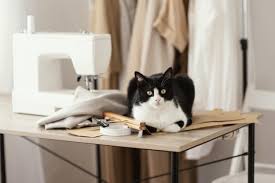 Kucing dengan bulu putih dan mata biru biasanya terlahir tuli, walaupun begitu indera lain mereka berkembang sebagai gantinya. 12 Fakta Unik Tentang Kucing Cat Lovers Harus Tahu
