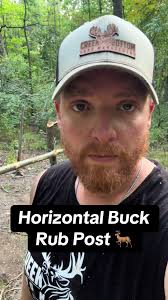 Buck Rubs Stump Carving