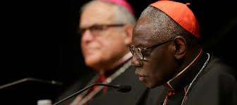 Cardenal Sarah: "El islamismo es un fanatismo monstruoso que debe  combatirse con fuerza y determinación"