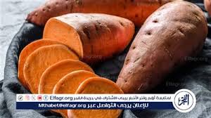 بوابة الفجر | اكلات سريعه