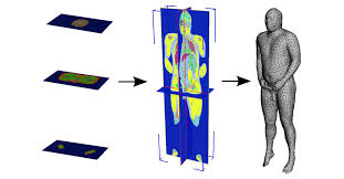 For comparison, humans have an average body temperature of about 37.0 °c (98.6 °f). Meshing The Full Body In The Visible Human Male Data Set Download Scientific Diagram