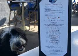 If your pet is in need of medical or surgical services, vaccinations, dental cleaning, grooming or pet boarding, then you should contact our office today. Traveling With Your Dog Made Easy Visit Laguna Beach