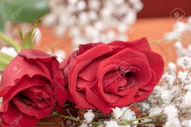 Order flowers safely and securely online from gaertnersaginaw flower delivery, flowershops, gaertner, where to buy wholesale flowers for flower shop save money and time with sameday delivery. Red Roses With White Babys Breath