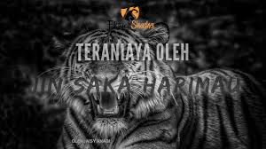 Harimau putih di kota tinggi. Teraniaya Oleh Jin Saka Harimau Fiksyen Shasha