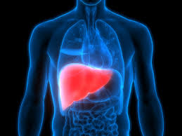 Steatoza hepatica poate exista in absenta oricaror semne obiective la examenul clinic. RecomandÄrile Specialistului Cum Apare Si Cum Se TrateazÄ Steatoza HepaticÄ Romania Libera