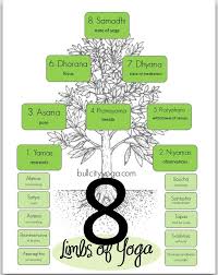 Infographics Ashtanga Yoga Eight Limbs Of Yoga Yoga