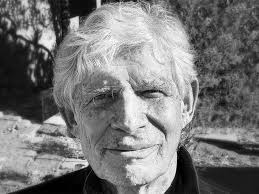 Stuart Kauffman: The "adjacent possible" — and how it explains human  innovation