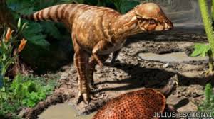 Beberapa dinosaurus pemakan tumbuhan yang lebih besar (seperti argentinosaurus) harus. Dinosaurus Berkepala Tebal Ditemukan Bbc News Indonesia