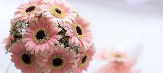 E scopri più di 15 milioni di risorse grafiche professionali su freepik Fiori Per Battesimo 5 Consigli Su Composizioni E Mazzi Di Fiori Da Regalare