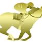 Cricket Club Race Night event image