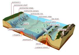 Earth Geology Ocean Floor Image Visual Dictionary Online Ocean Projects Earth And Space Science Oceanography