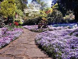Leura Garden Festival Open Gardens Spring Garden Garden History Outdoor Gardens