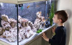 Check spelling or type a new query. Top Aquarium Shops In Dubai Think Fish Aqua Art More Mybayut