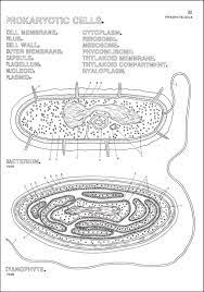 Certainly hydrocarbons would be fairly universal, but the particular poisons various plants (or plant analogs) evolved, given different biology both on their. Biology Coloring Book Harpercollins 9780064603072