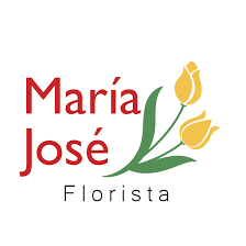 Floristería M.ª José
