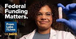 Purdue Commercialization Fellowship for PhDs and postdocs