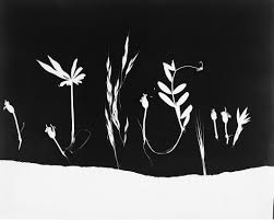 Bildergebnis für The Estate of Anwar Jalal Shemza