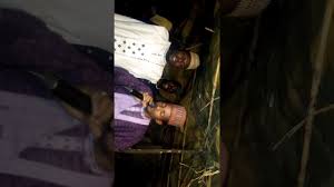 Almajirin ma aiki na sidi ziyara a masallacin quba. Download Yas Alu Nasidi 2021 Mp4 Mp3 3gp Daily Movies Hub