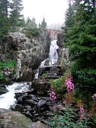 Around its dozens of bends, waterfalls burst forth behind a blanket of trees. These 9 Breathtaking Waterfalls Are Hiding Near Denver Hikes Near Denver Denver Travel Colorado Travel