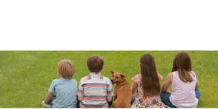 Safe (saving animals from euthanasia inc.) was founded in karratha in 2003 and since its inception over 32,400 healthy, rehomable animals have been saved and adopted to new homes in wa and across the country. Safe Saving Animals From Euthanasia Inc Linkedin