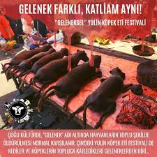 Bagimsiz Hayvan Haklari Toplulugu Gelenek Farkli Katliam Ayni Yulin Kopek Eti