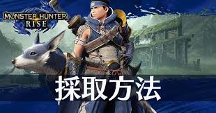 会員情報 amazonビジネス (法人購買・請求書払い・法人割引) コンテンツと端末の管理 prime music ミュージックライブラリにアクセス お客様のamazon drive ウォッチリスト. ãƒ¢ãƒ³ãƒãƒ³ãƒ©ã‚¤ã‚º æŽ¡å– æŽ¡æŽ˜ ã®ã‚„ã‚Šæ–¹ã¨å ´æ‰€ã®æŽ¢ã—æ–¹ Mhr Appmedia