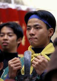 Image of ALEXANDER POLLOCK HAMS IT UP AT CATS & DOGS PREMIERE,