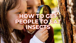 How to Convince Your Friends to Eat Insects