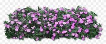 Keep it clipped to a. Pin By Gehad Mhmed On Png In 2021 Purple Flowers Pink Flowers Flowers