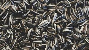 Calories In Sunflower Seeds Are They Healthy