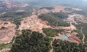 Kawasan wisata gunung salak endah, jalan gunung bunder, gunung sari, pamijahan, bogor barat, gn. Malaysiakini Ngo Alam Sekitar Gesa Pahang Hentikan Perlombongan Di Tasik Chini