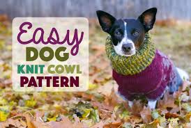 Incorporate loads of tassels and pom poms into your knitting with our breezy does it cowl. Easy Dog Knit Cowl Pattern The Broke Dog