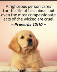 Pin By Darlene On Animal Lover Scripture Pictures Proverbs 12 10 Proverbs
