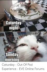See more ideas about happy saturday, saturday memes, saturday quotes. 25 Best Memes About Caturday Meme Caturday Memes