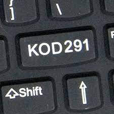 Fel av polisen att hemligstämpla flyktingbrottvärmlanddet var fel av polisen att hemligstämpla de brott som begåtts på flyktingboenden. Kod 291 Photos Facebook