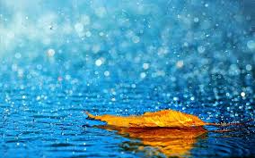 Image result for images The Latter Rain