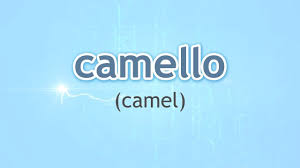 2)sarah didn't collect the cans and newspapers,did she? How To Pronounce Camel Camello In Spanish Youtube