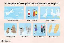 The 100 Most Common Irregular Plural Nouns In English